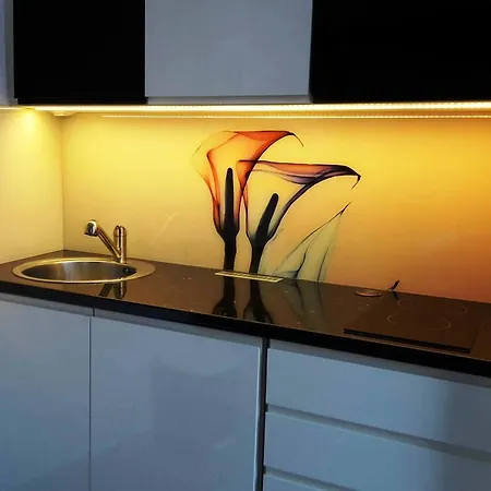 Apartment 1